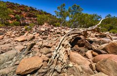 Unterwegs im Kalbarri NP