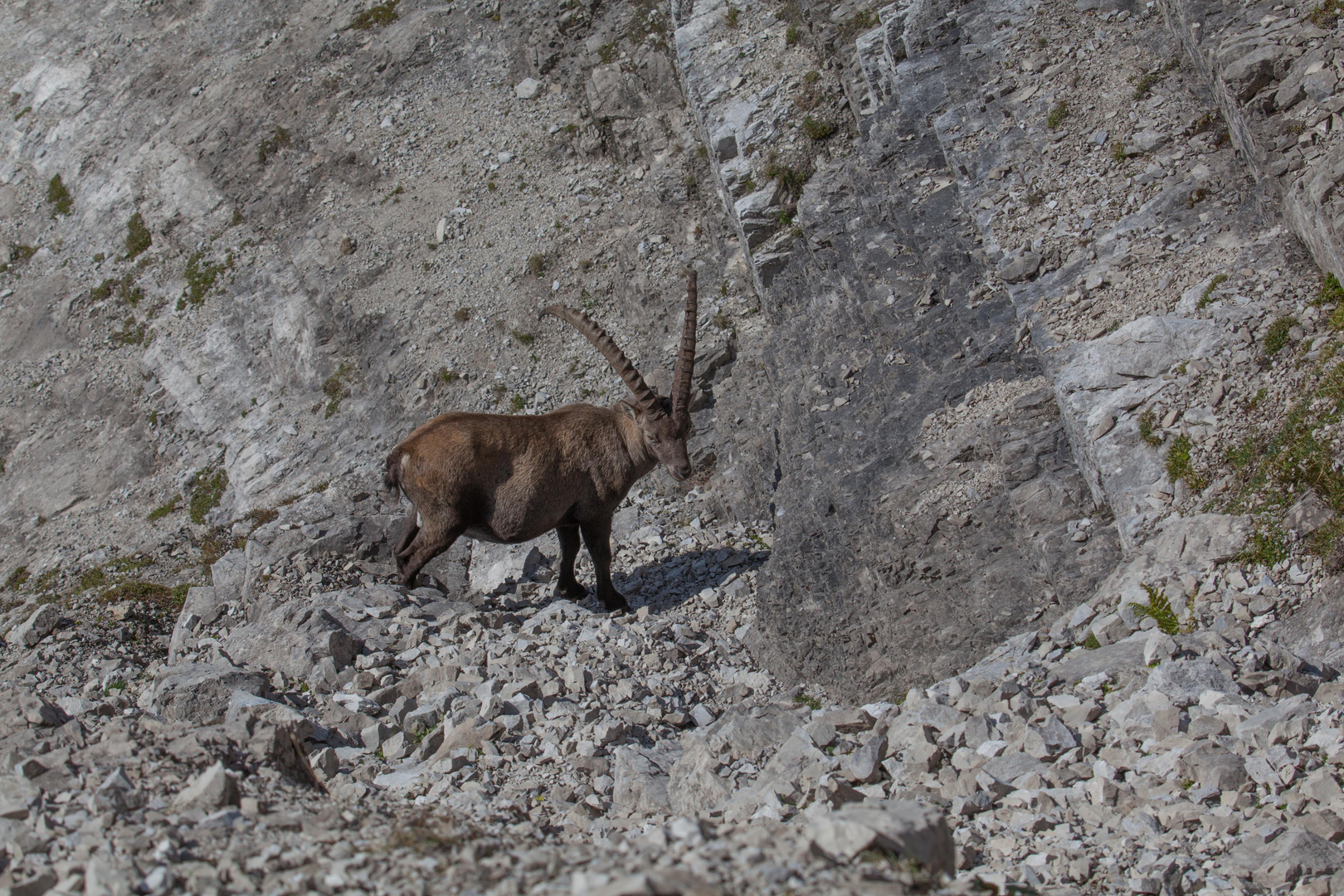 Unterwegs im Karwendel