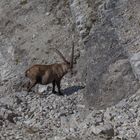 Unterwegs im Karwendel