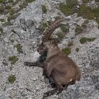 Unterwegs im Karwendel