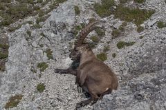 Unterwegs im Karwendel