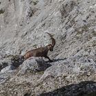 Unterwegs im Karwendel