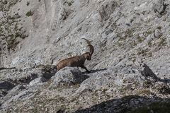 Unterwegs im Karwendel