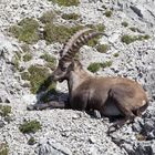 Unterwegs im Karwendel