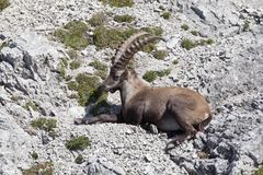 Unterwegs im Karwendel