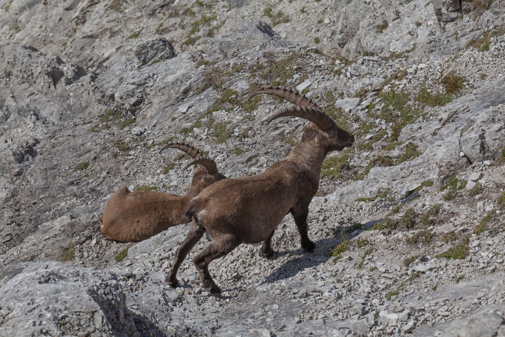 Unterwegs im Karwendel