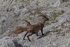 Unterwegs im Karwendel