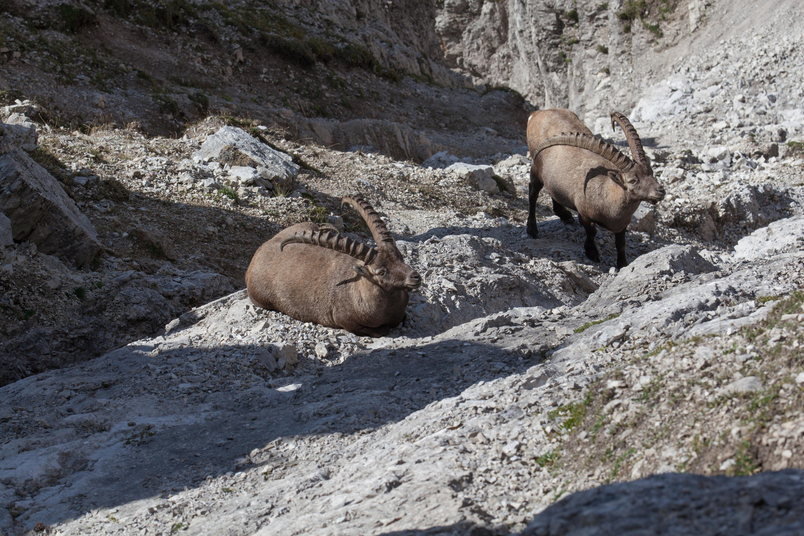 Unterwegs im Karwendel