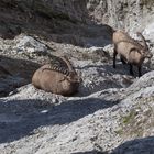 Unterwegs im Karwendel