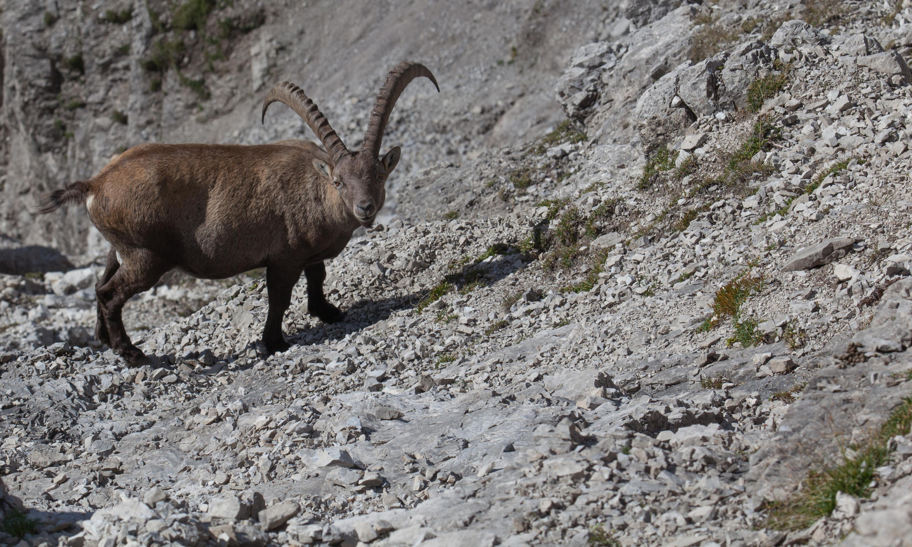 Unterwegs im Karwendel