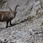 Unterwegs im Karwendel