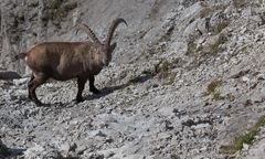 Unterwegs im Karwendel