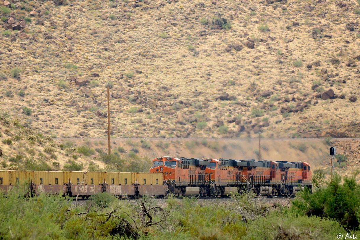 Unterwegs im Kingman Canyon (1)