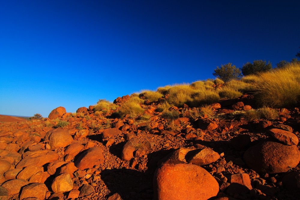 Unterwegs im Kings Canyon