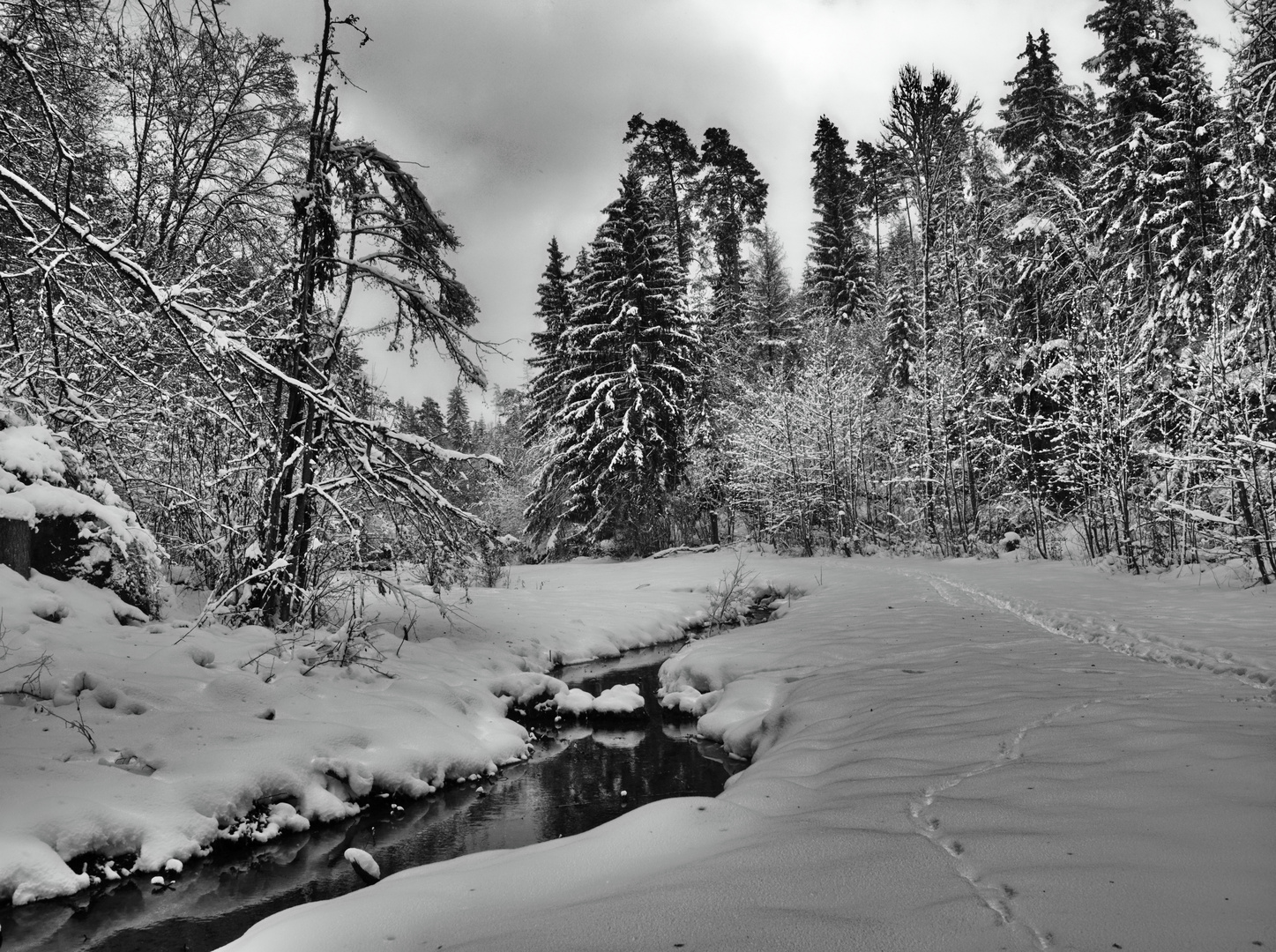  Unterwegs im Klumpertal 