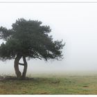 Unterwegs im Knüll Gebirge