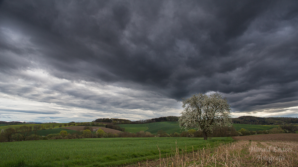 Unterwegs im Kraichgau