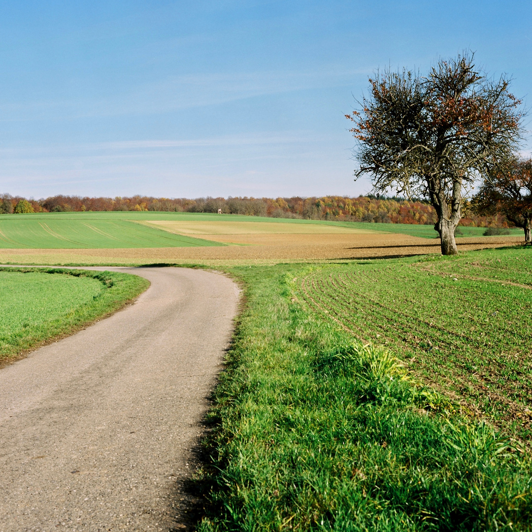 Unterwegs im Kraichgau zwischen Weingarten und Jöhlingen