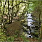 Unterwegs im kühlen Grund 