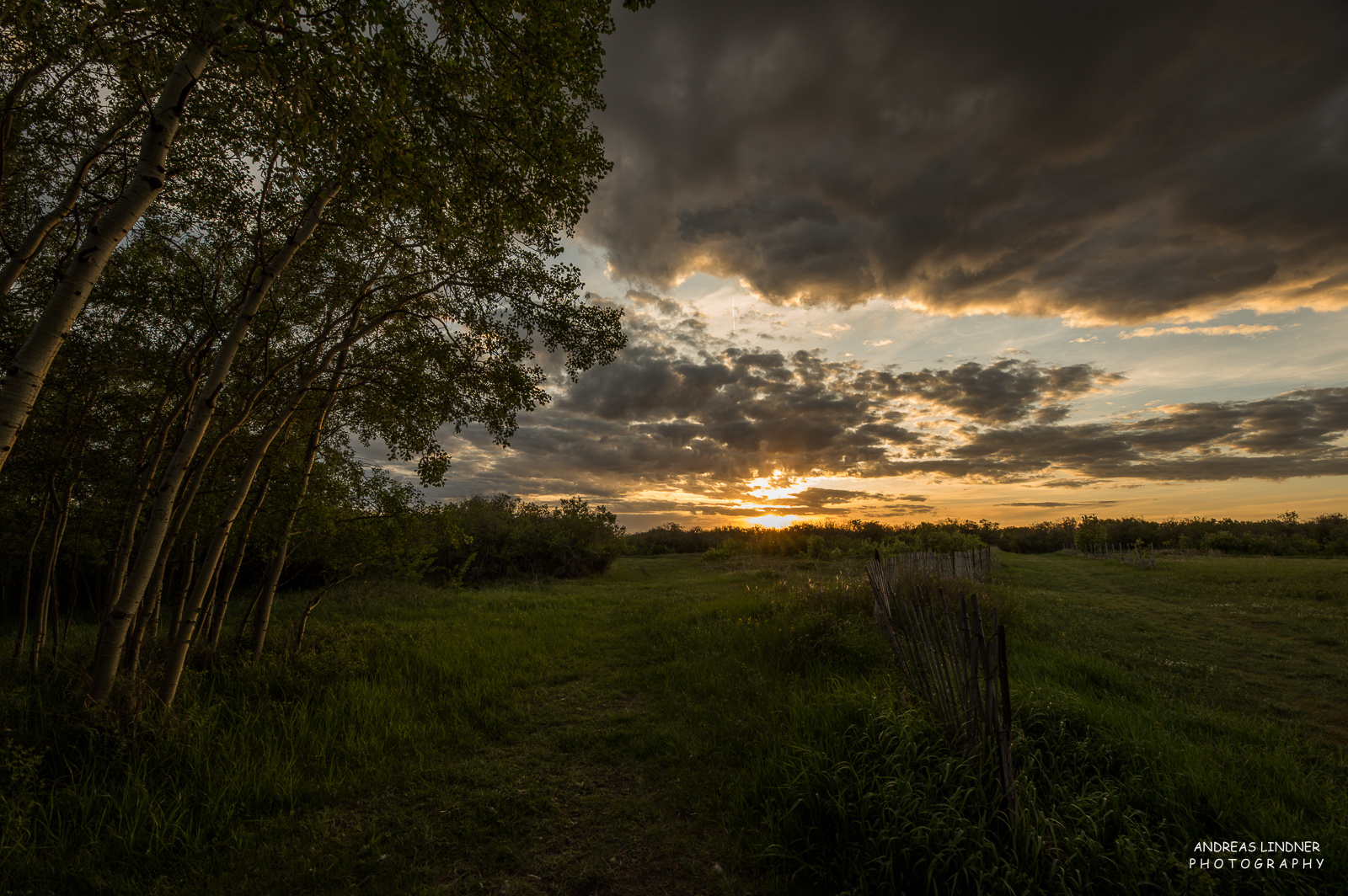 Unterwegs im "land der living skies" (4)