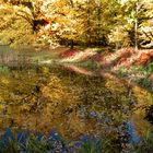 Unterwegs im Landschaftspark Degnershausen