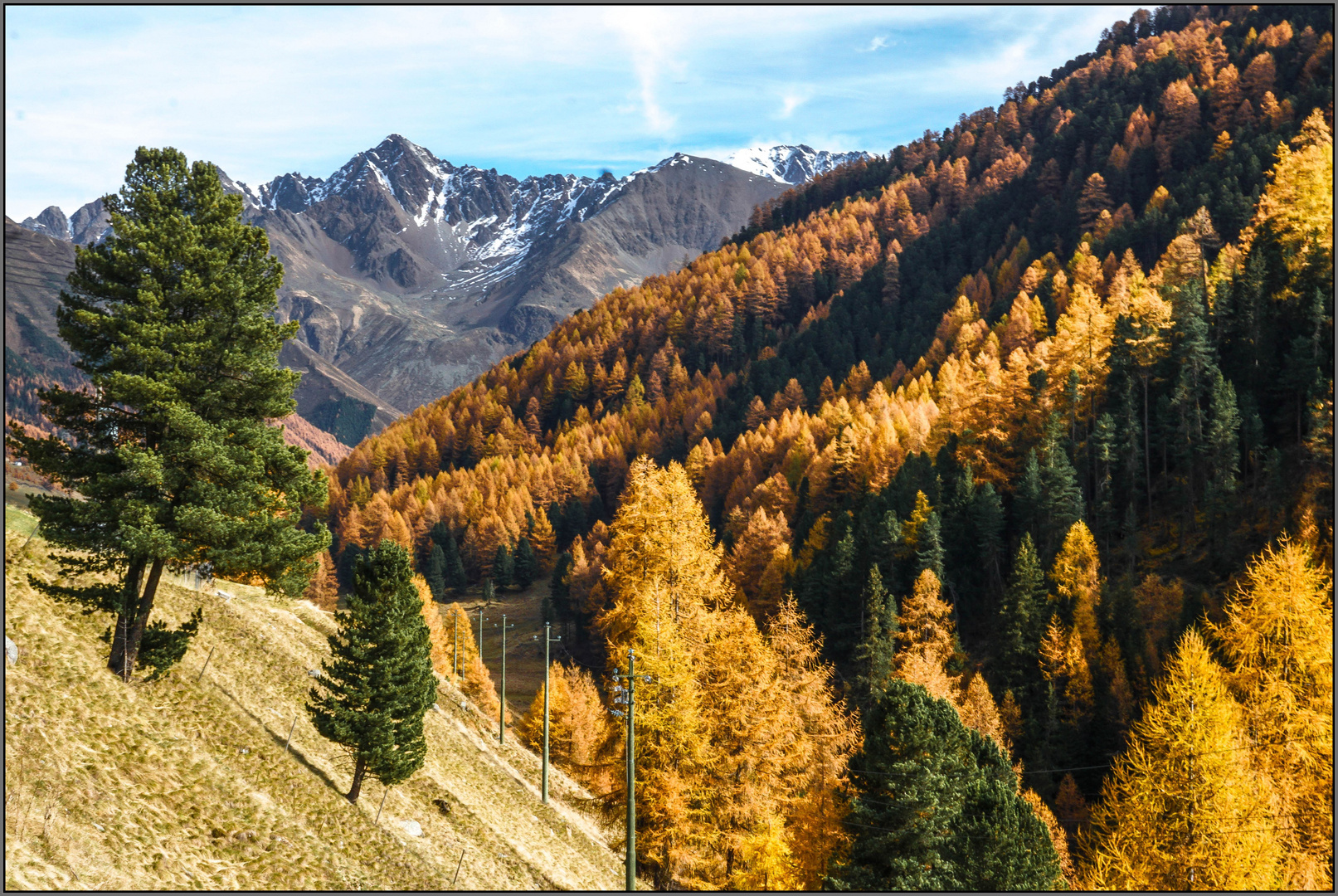 Unterwegs im Langtaufener Tal (2)