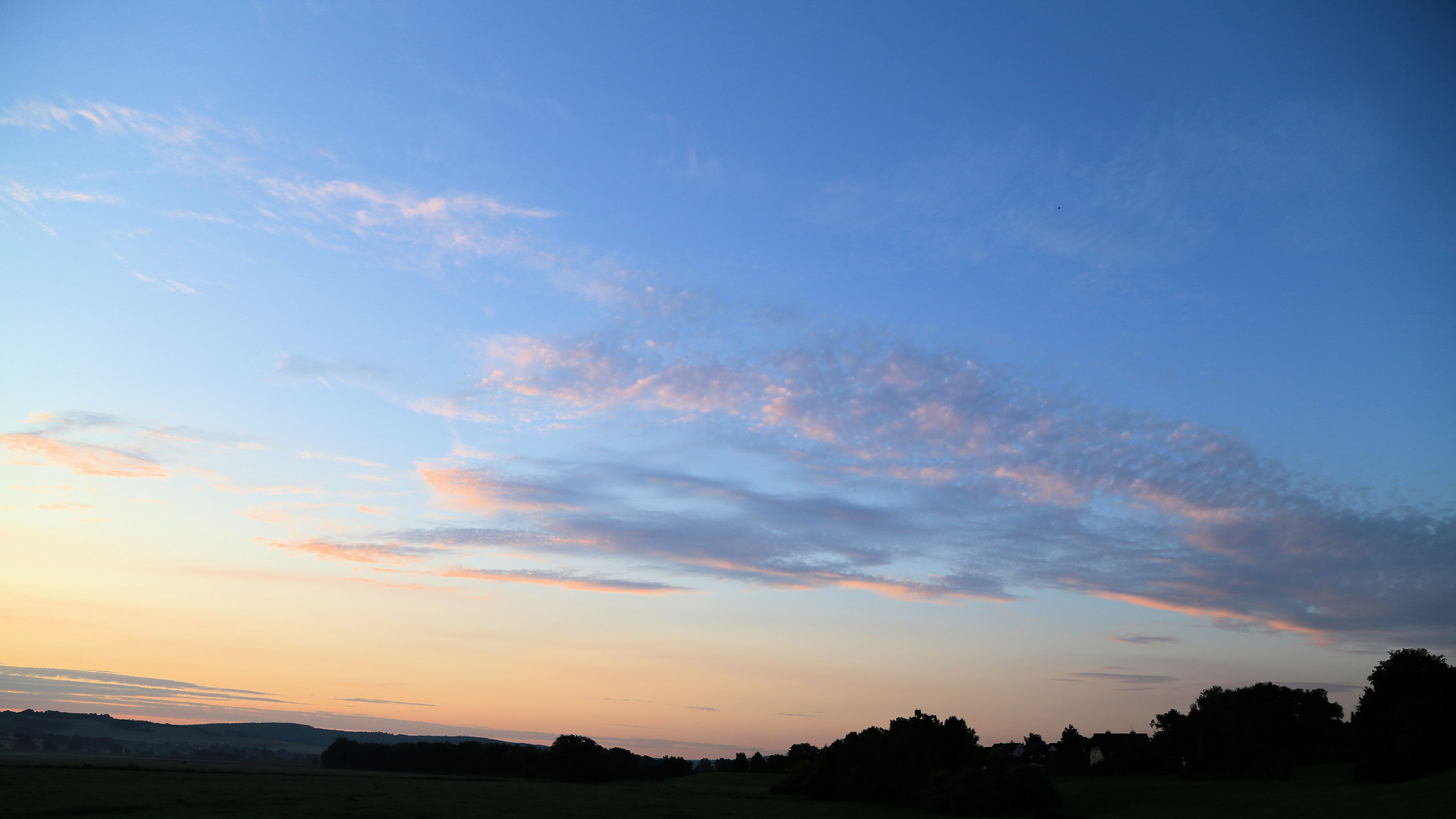 Unterwegs im Leinepolder -1-