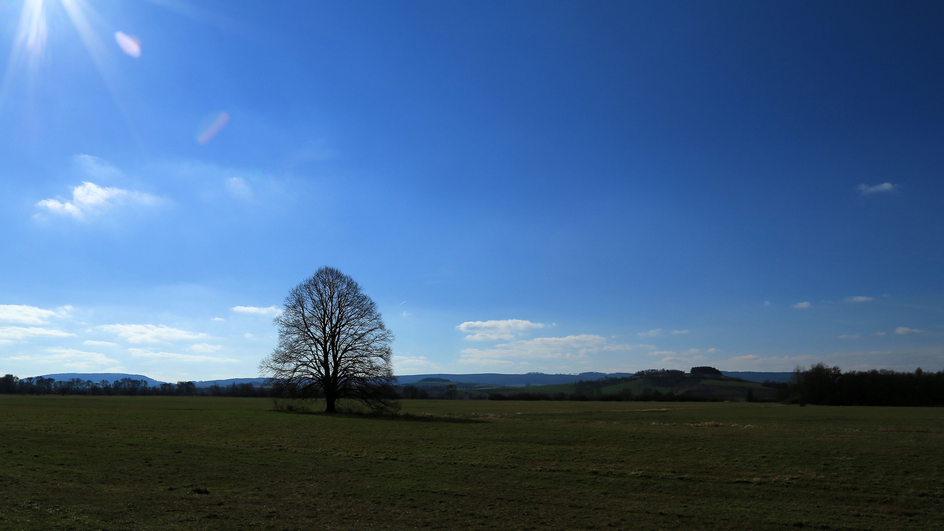 Unterwegs im Leinepolder