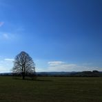 Unterwegs im Leinepolder