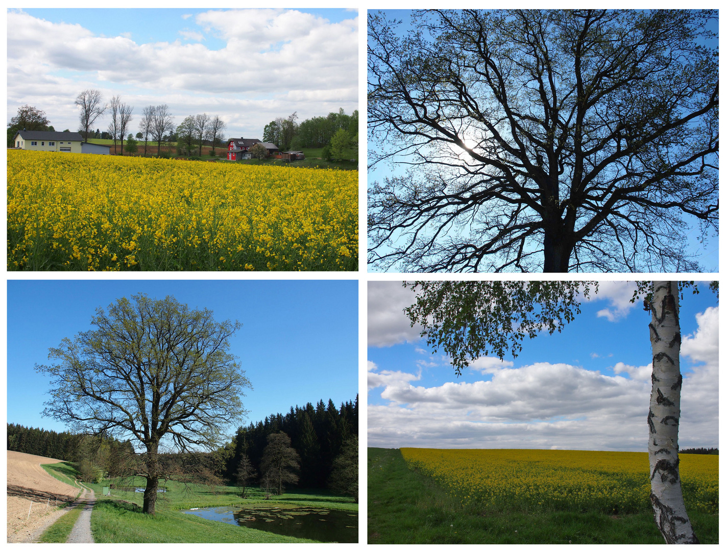 Unterwegs im Mai