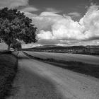 Unterwegs im Markgräflerland