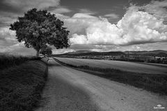 Unterwegs im Markgräflerland