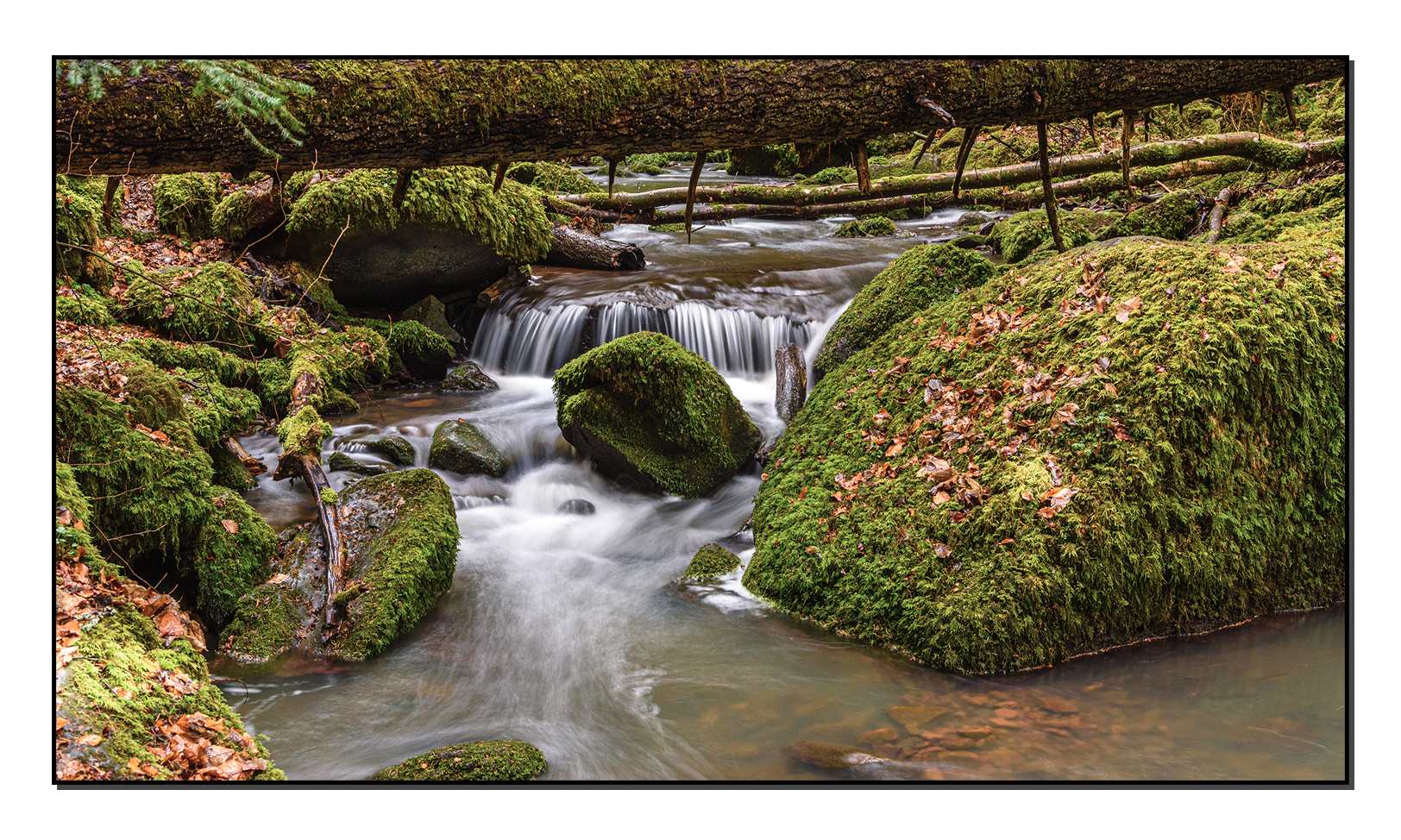 Unterwegs im Monbachtal