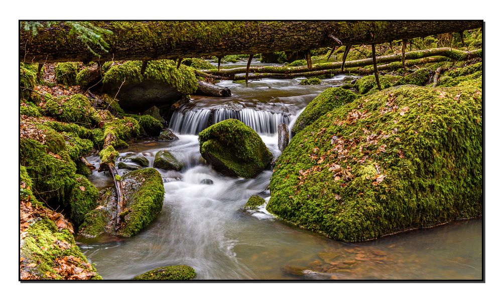 Unterwegs im Monbachtal