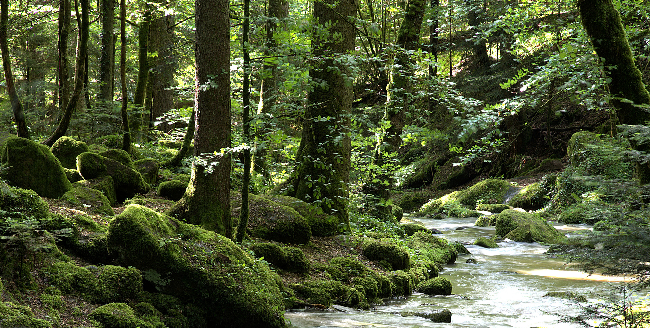 Unterwegs im Monbachtal