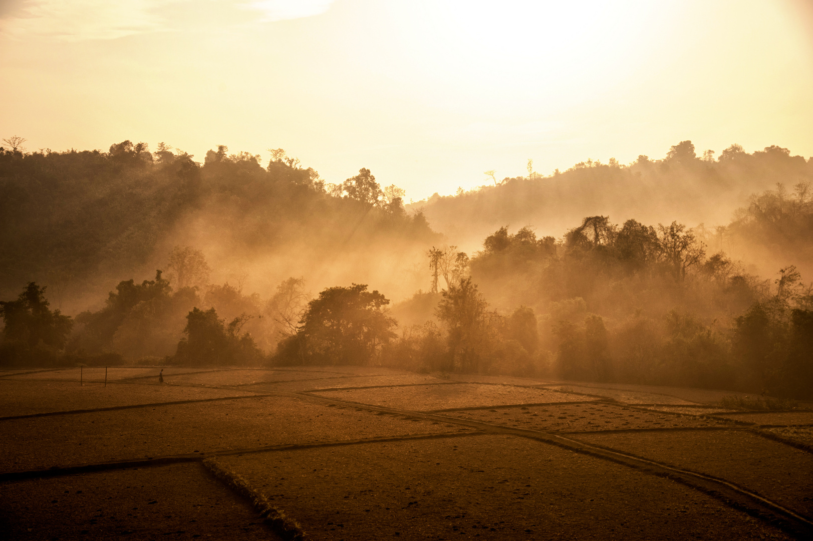 Unterwegs im Morgenlicht