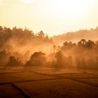 Unterwegs im Morgenlicht