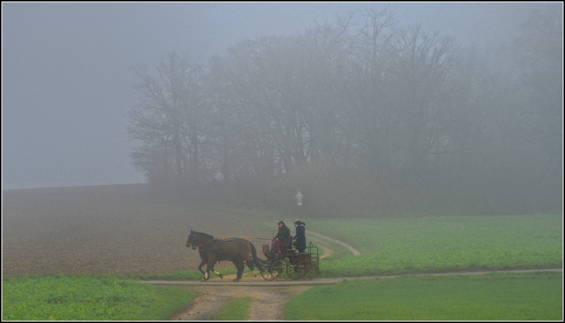 Unterwegs im Morgennebel