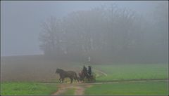 Unterwegs im Morgennebel