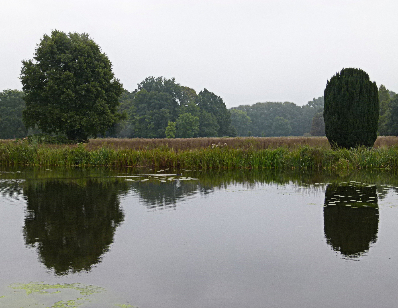 Unterwegs im Münsterland