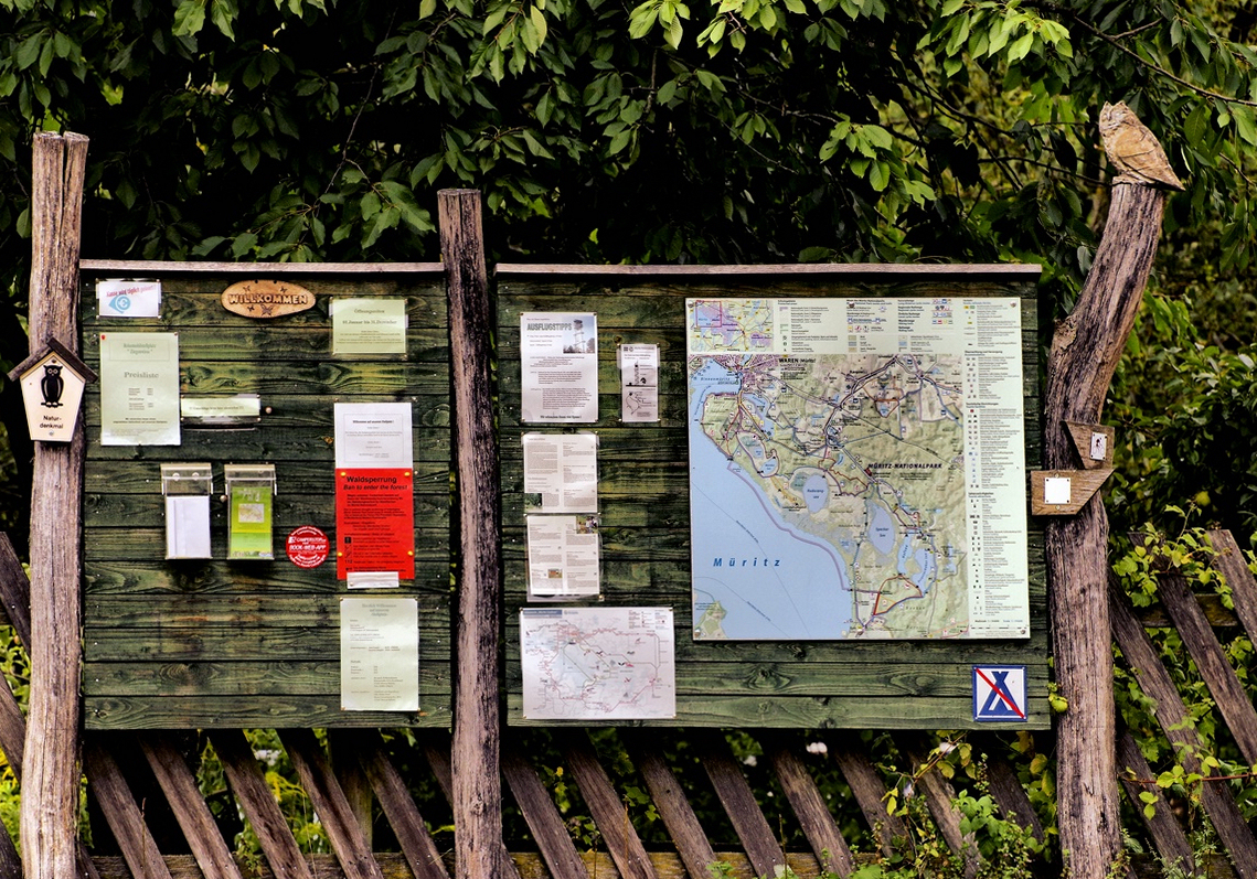 Unterwegs im Müritz Nationalpark