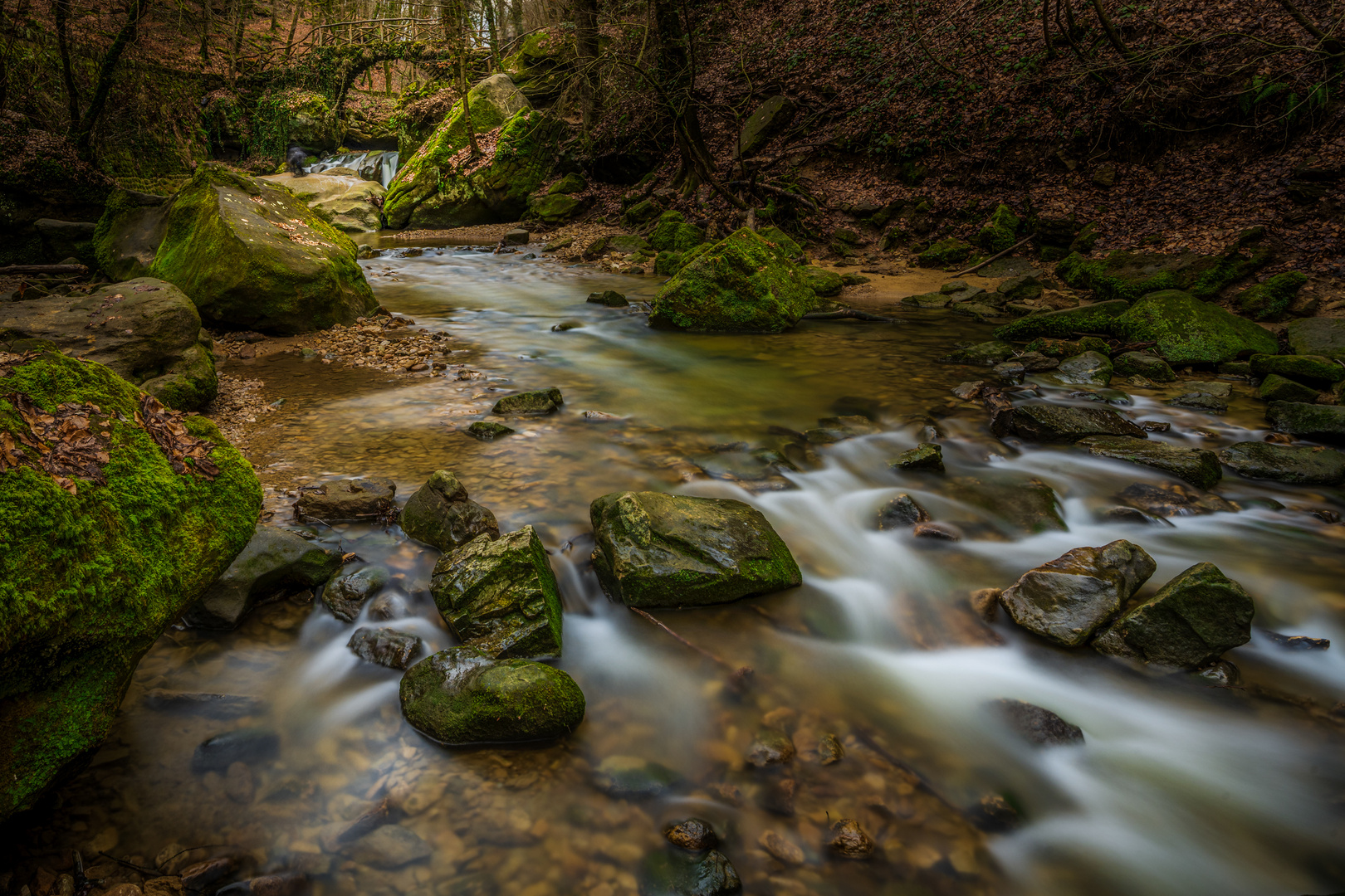 Unterwegs im Mullerthal