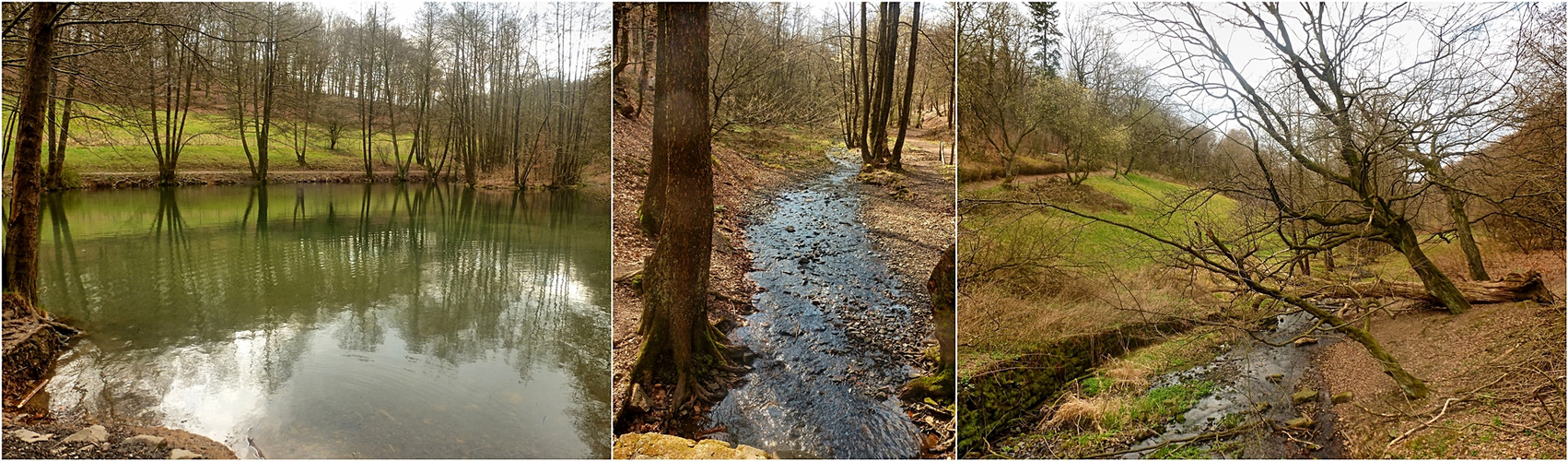 Unterwegs im Murmelbachtal 