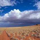 Unterwegs im Namib Rand