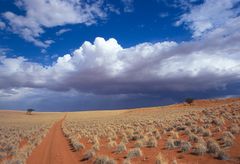 Unterwegs im Namib Rand