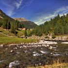 Unterwegs im Nationalpark Hohe Tauern