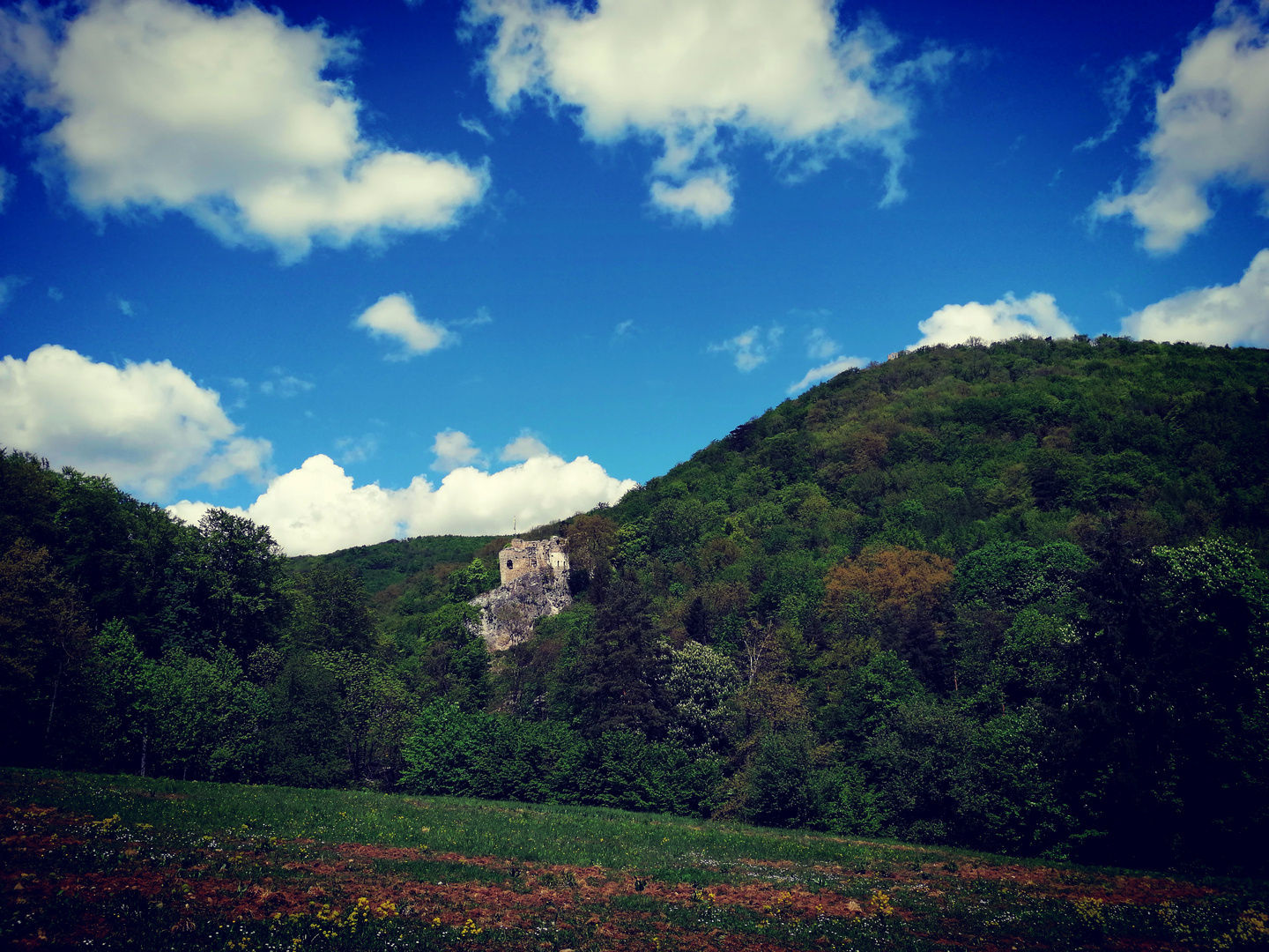 unterwegs im Naturpark Sparbach