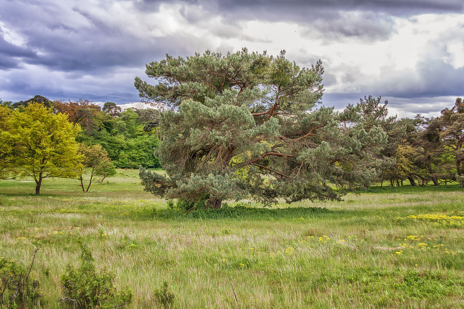 unterwegs im Naturschutzgebiet