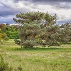 unterwegs im Naturschutzgebiet