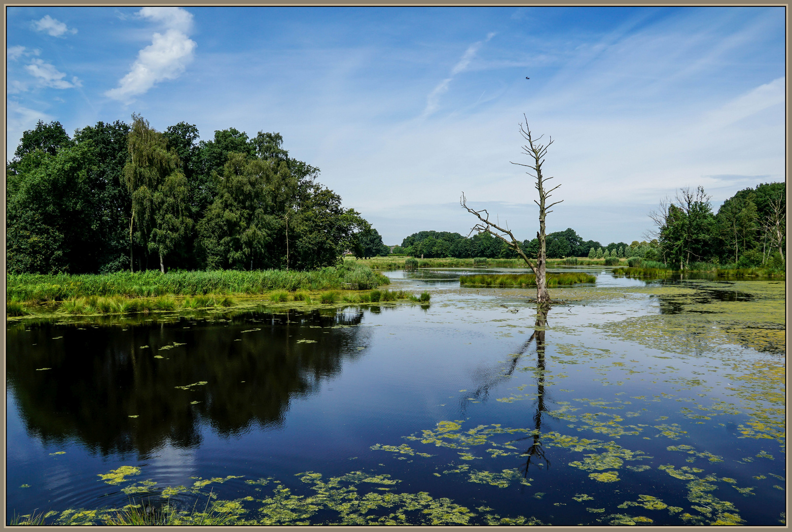 Unterwegs im Naturschutzgebiet Krickenbecker Seen (1)